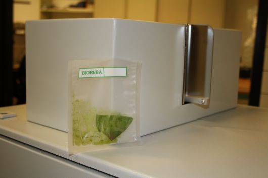 Sample Bag Processed